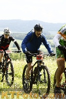 Photo 4238853