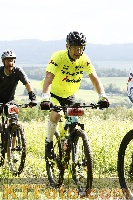 Photo 4239027