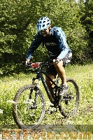 Photo 4239167