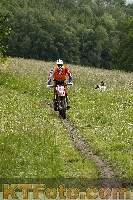 Photo 4239202