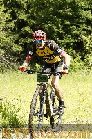 Photo 4239242