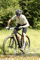 Photo 4239257