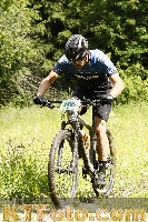 Photo 4239274