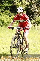 Photo 4239279