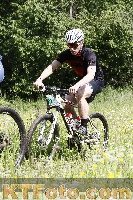 Photo 4239403