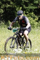 Photo 4239408