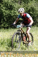 Photo 4239413