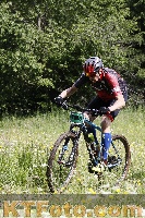Photo 4239422