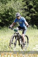 Photo 4239426