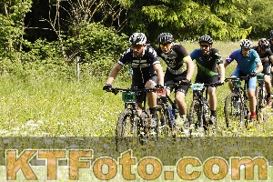 Photo 4239494