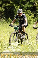Photo 4239496
