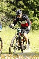 Photo 4239524