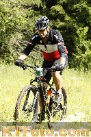 Photo 4239525
