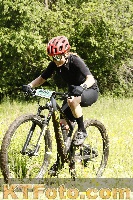 Photo 4239532
