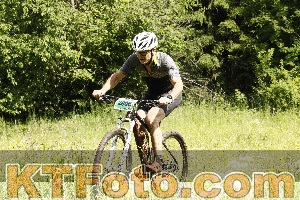 Photo 4239534