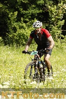 Photo 4239553