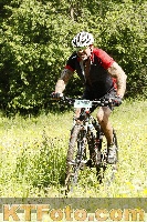 Photo 4239555