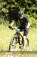 Photo 4239569