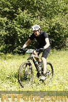 Photo 4239584