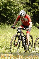 Photo 4239588