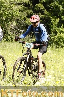 Photo 4239589