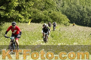Photo 4239598