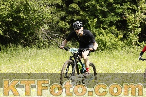 Photo 4239599