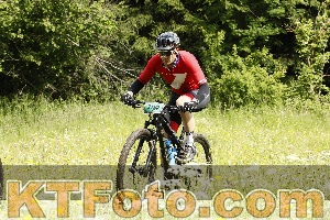 Photo 4239601