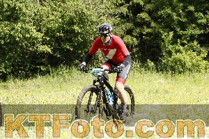 Photo 4239602