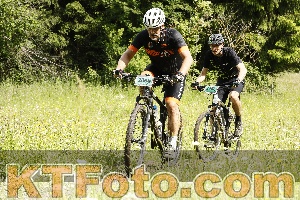 Photo 4239635