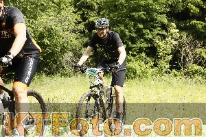 Photo 4239637