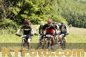 Photo 4239640