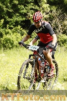 Photo 4239641