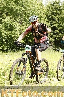 Photo 4239682