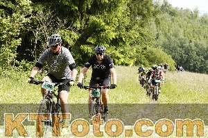 Photo 4239700