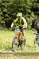 Photo 4239718