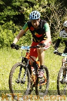 Photo 4239837