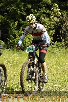 Photo 4239841