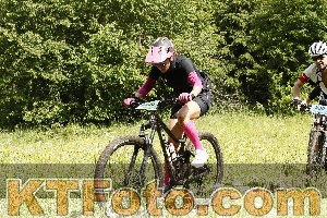 Photo 4239852