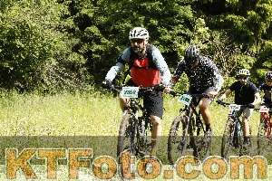 Photo 4239867