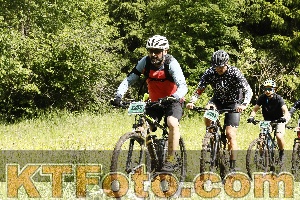 Photo 4239868