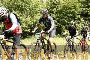 Photo 4239870
