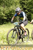 Photo 4239939