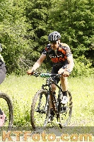 Photo 4239940