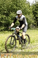 Photo 4239947