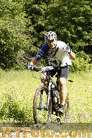 Photo 4239948