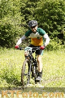 Photo 4239955