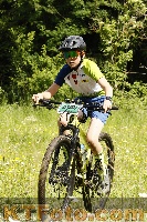 Photo 4239961