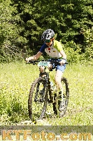 Photo 4239962