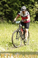 Photo 4240037